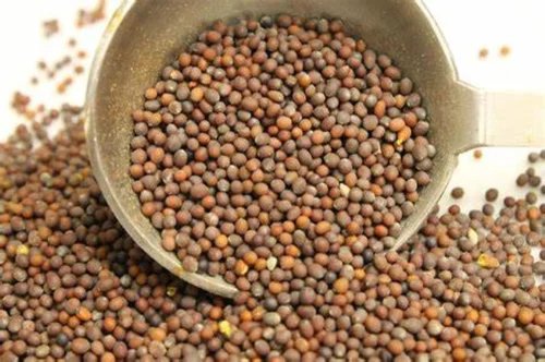 Mustard Seed Brown 500gm