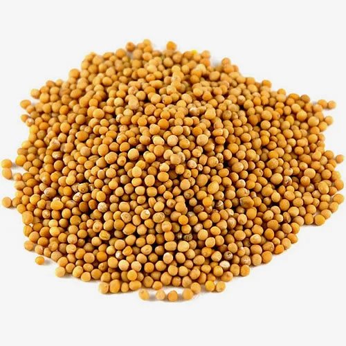 Mustard Seed Yellow 500gm