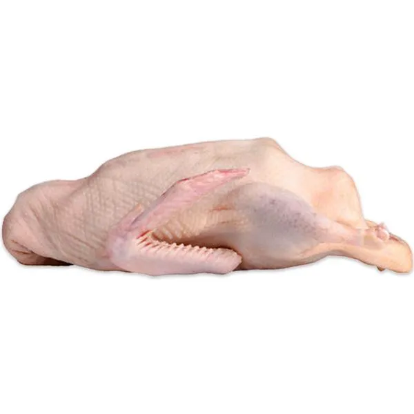 Duck Whole 1600gm / ダックホール1600GM / হাঁস সম্পূর্ণ ১৬০০গ্রাম