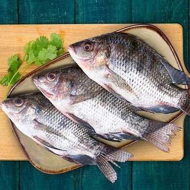 Tilapia Fish Whole Frozen Cleaned (400-600g) Cá Rô Phi ティラピアフィッシュ全冷凍洗浄